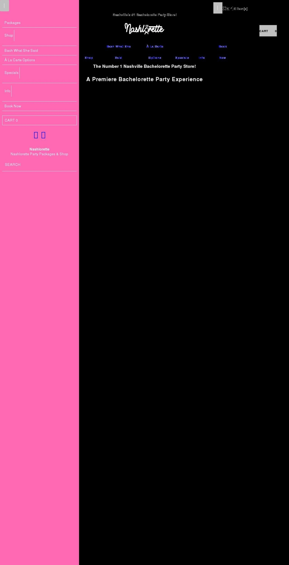 nashlorette.com shopify website screenshot
