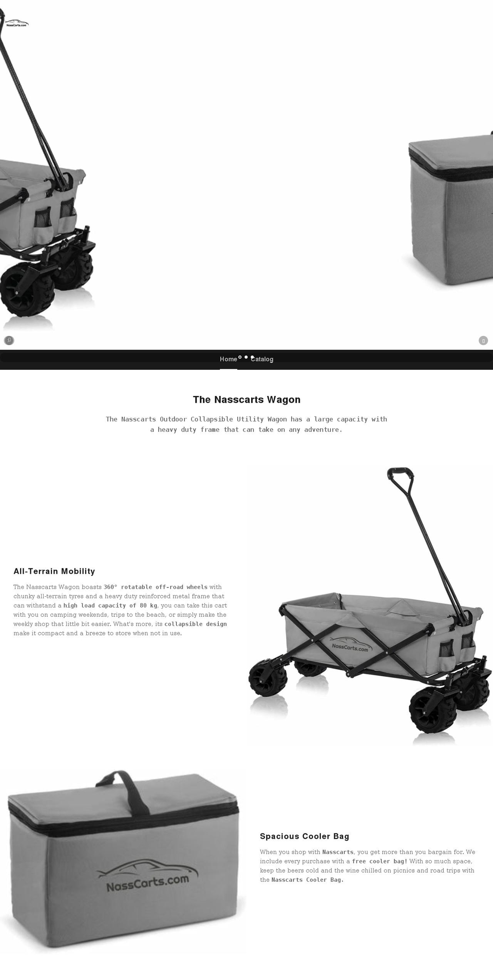nasscarts.com shopify website screenshot