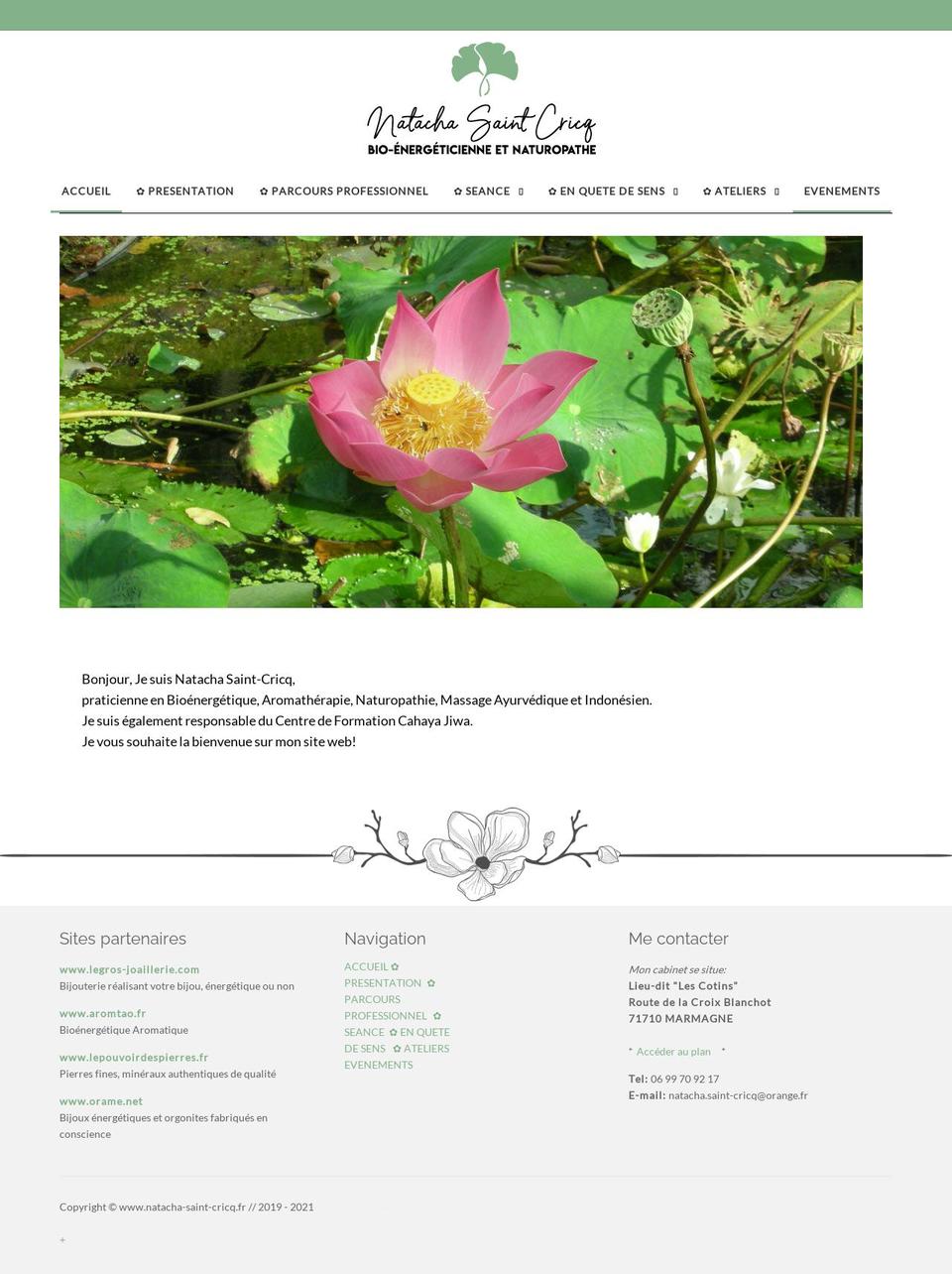 natacha-saint-cricq.fr shopify website screenshot