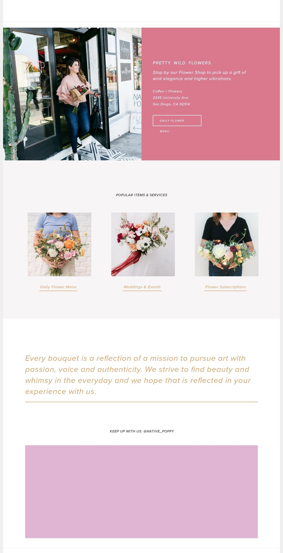 nativepoppy.com — Shopify storefront screenshot
