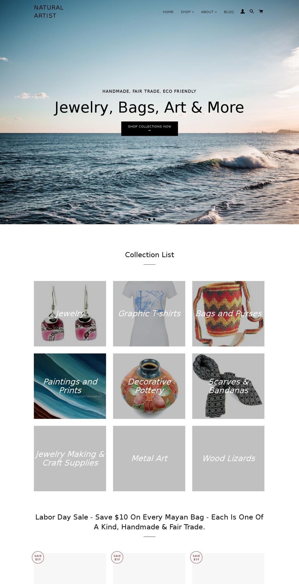 naturalartist.org shopify website screenshot