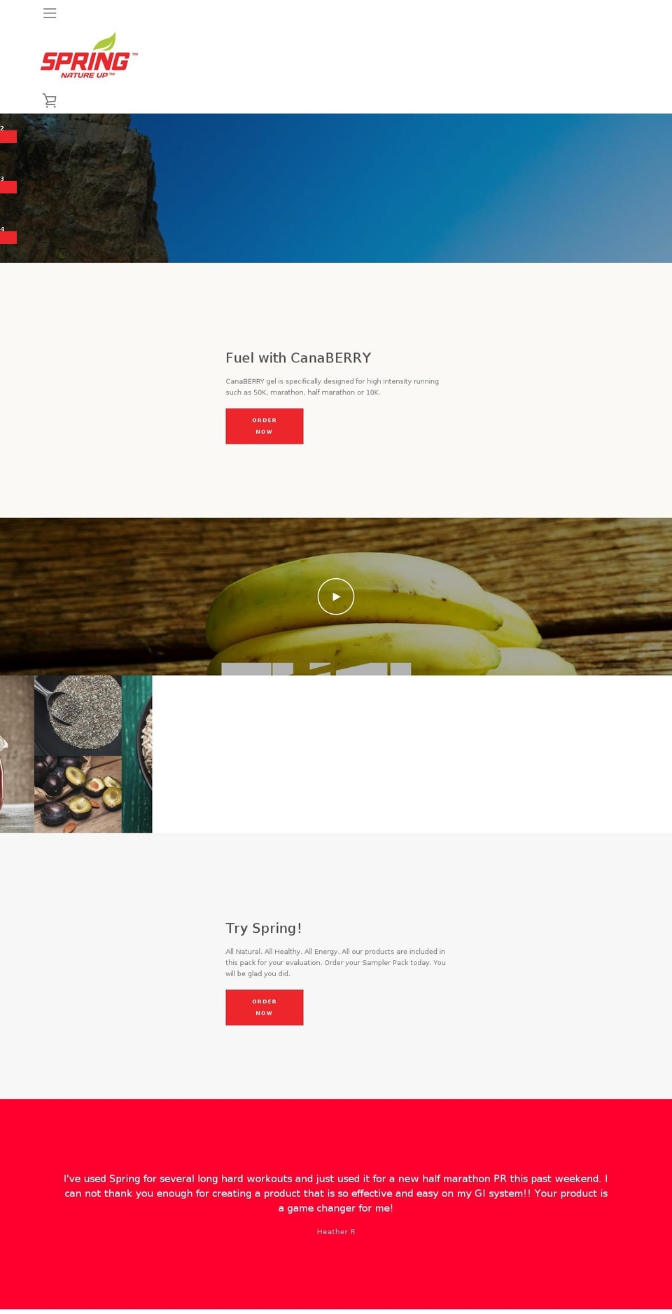 naturalenergygel.com — Shopify storefront screenshot
