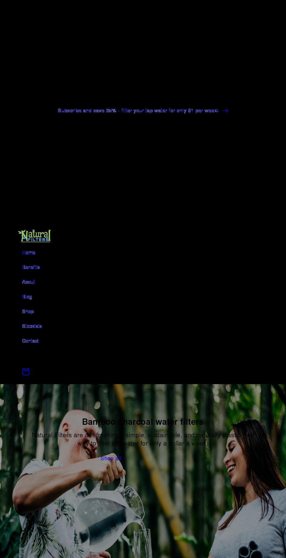 naturalfilters.com.au shopify website screenshot