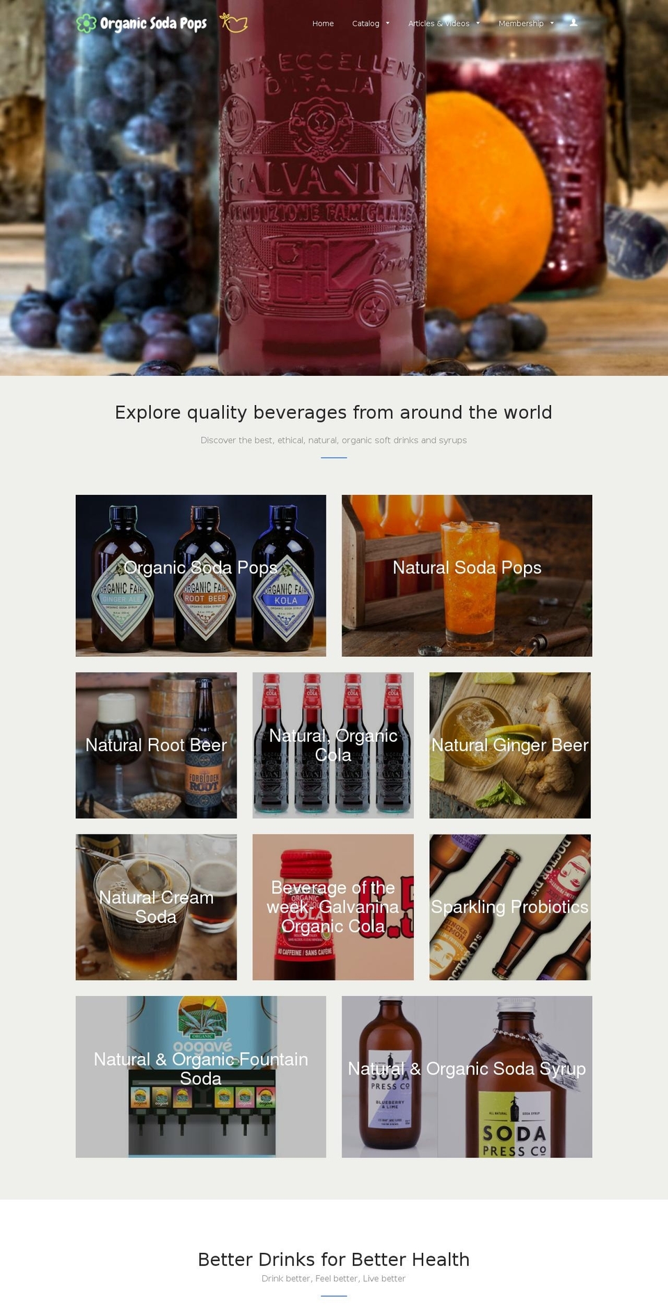 naturalgingerale.com — Shopify storefront screenshot
