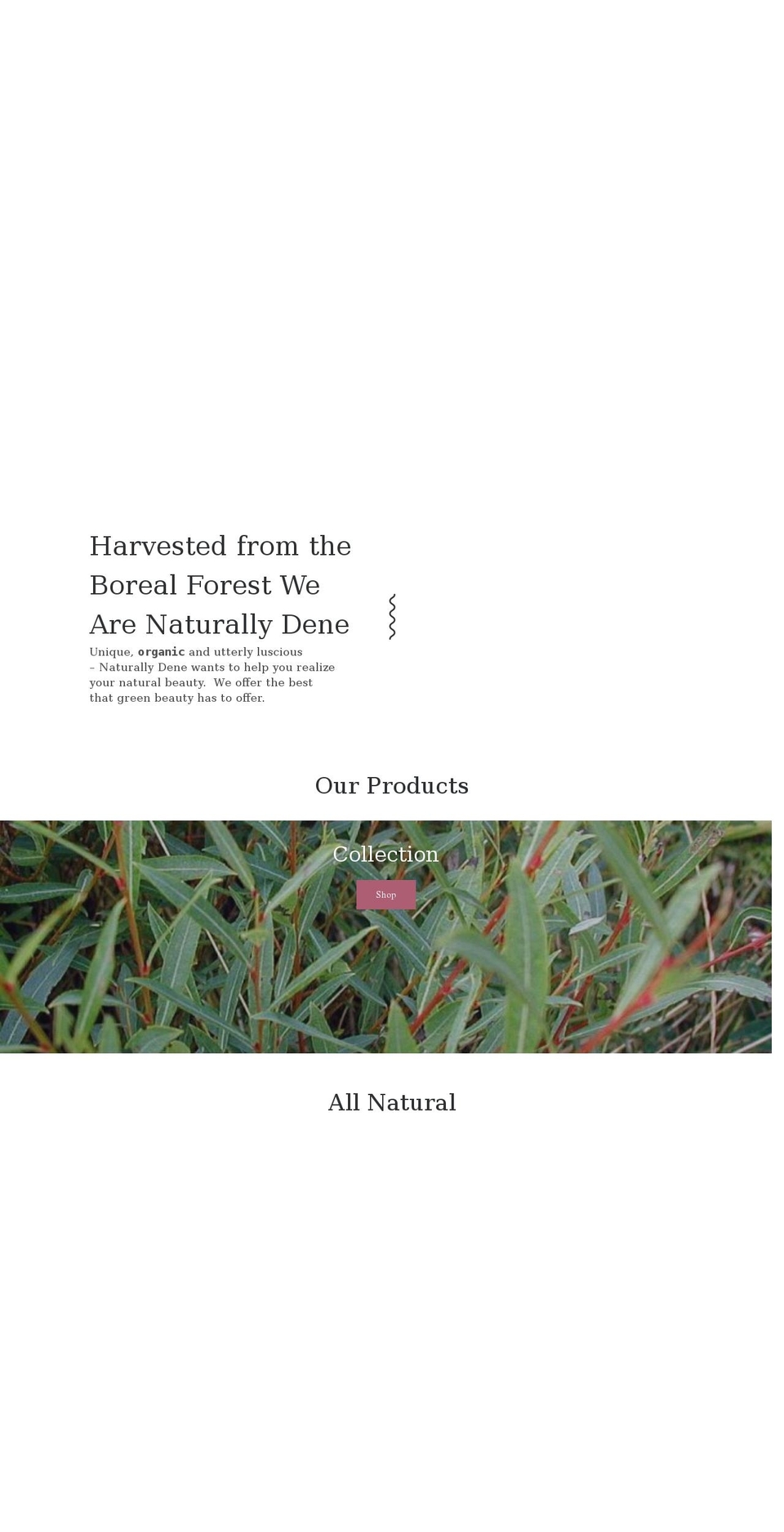naturallydene.com shopify website screenshot