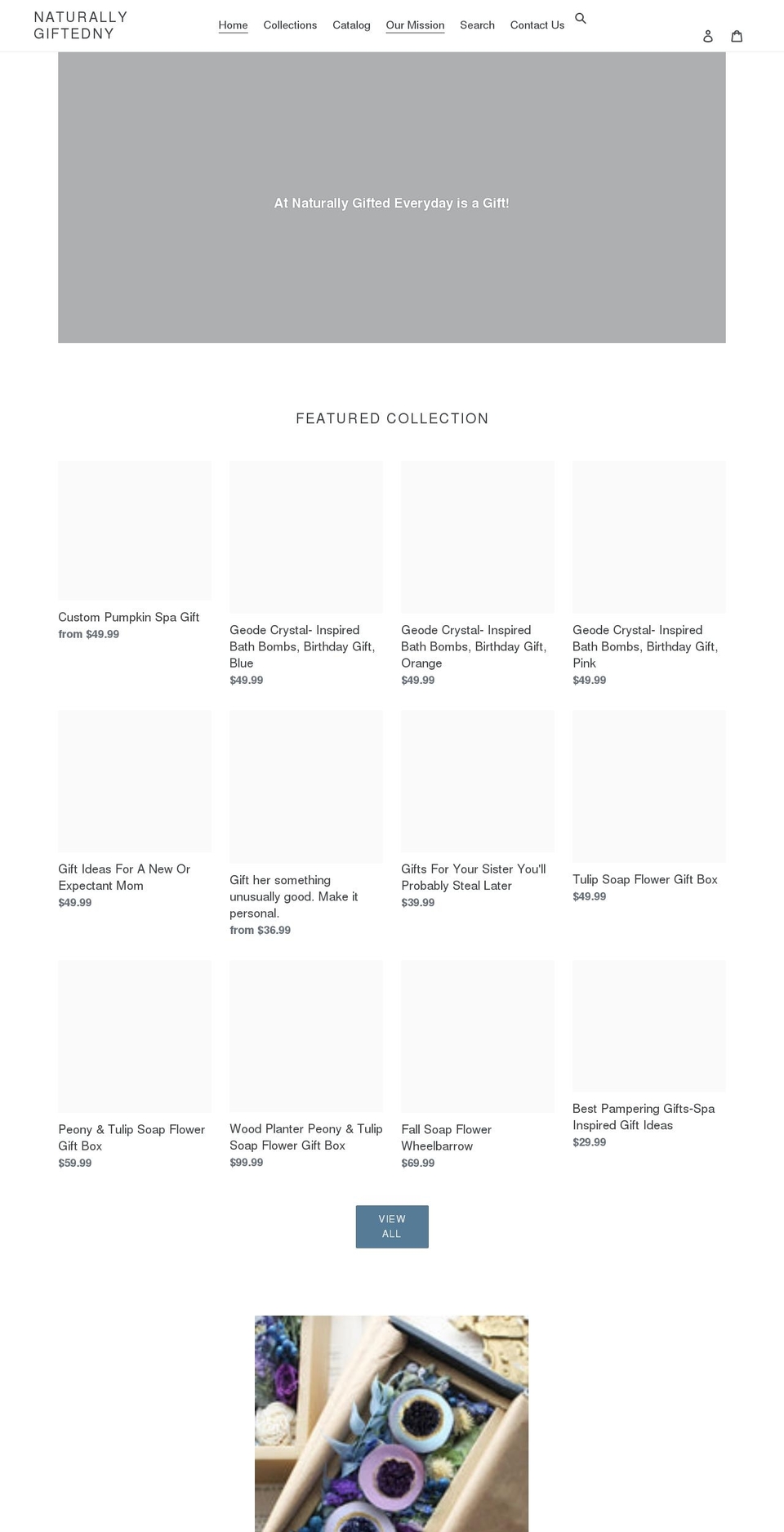 naturallygiftedny.com shopify website screenshot