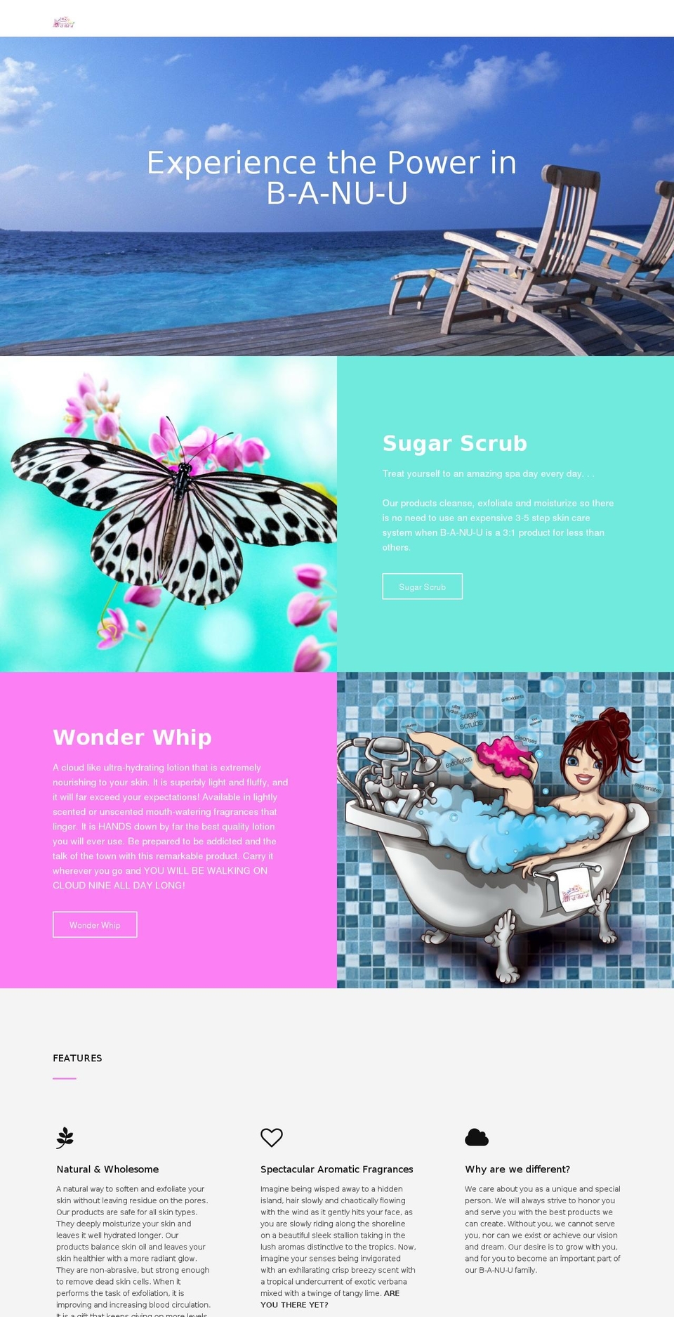 naturalskincareandsugarscrubs.com shopify website screenshot