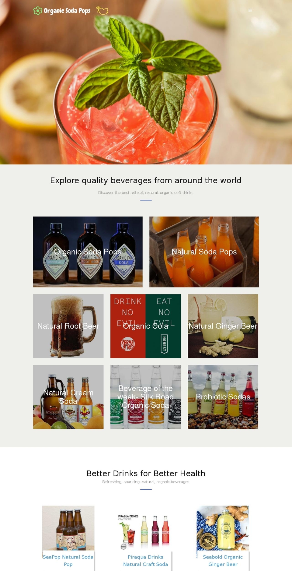 naturalsoftdrink.com shopify website screenshot