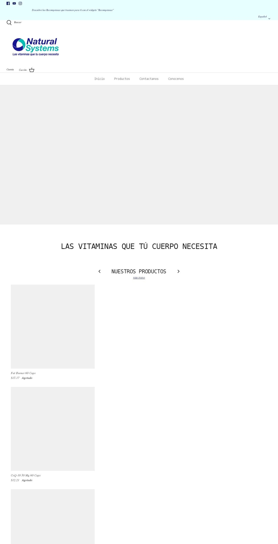 naturalsystemspanama.com shopify website screenshot