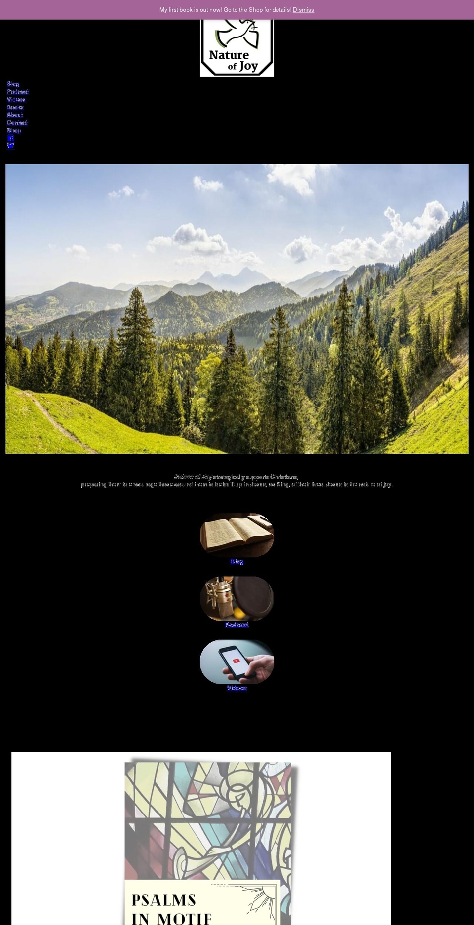 natureofjoy.com — Shopify storefront screenshot