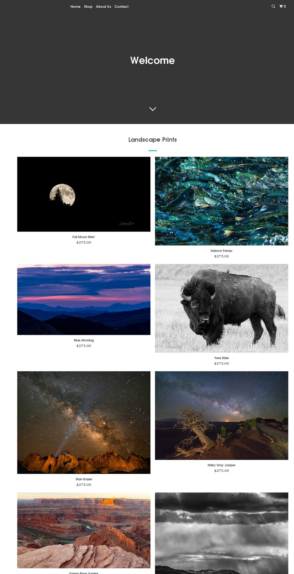 naturesinmotion.com shopify website screenshot
