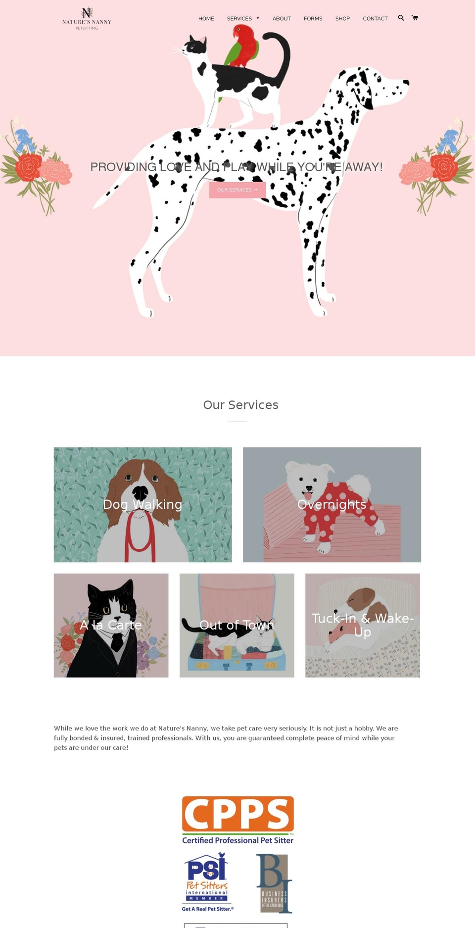 naturesnannysav.com — Shopify storefront screenshot