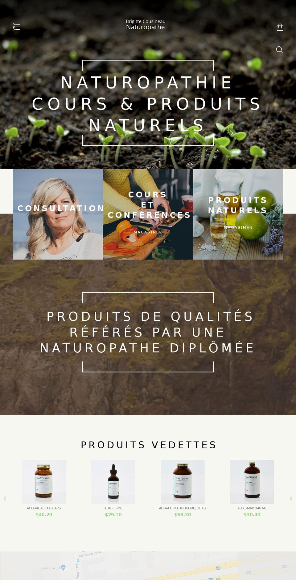 theme255 Shopify theme site example naturosanthe.com