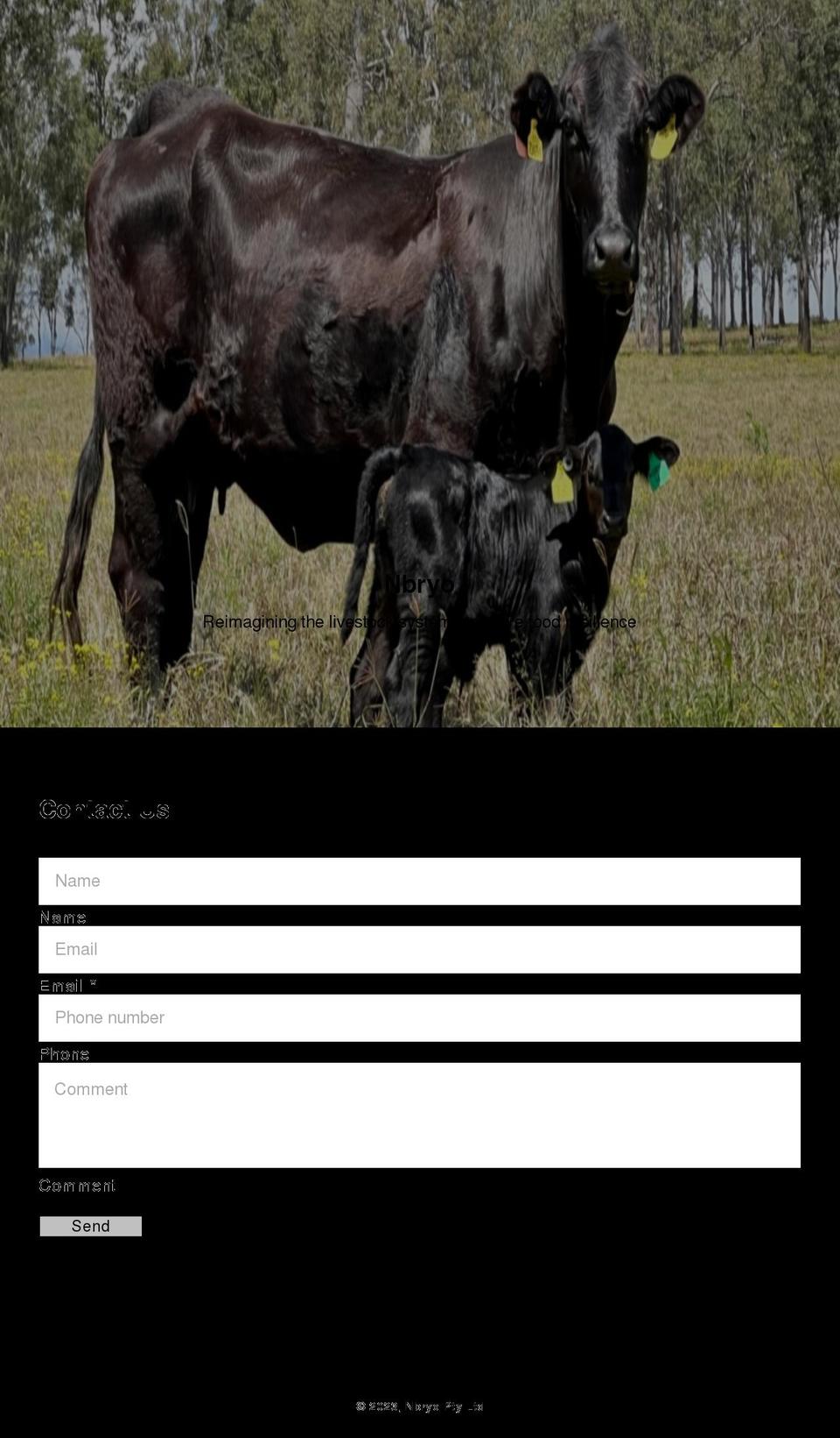 nbryo.com shopify website screenshot