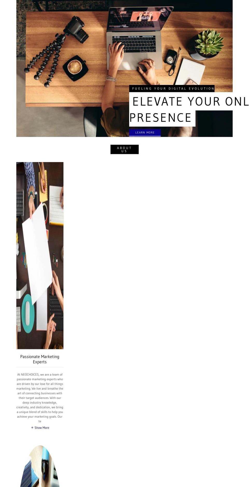 neochoices.com — Shopify storefront screenshot
