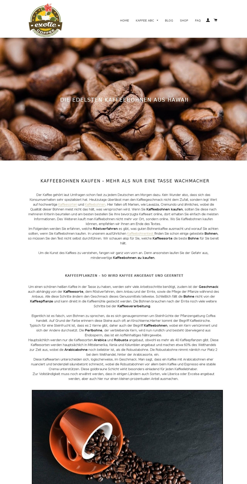 net-brands.com shopify website screenshot