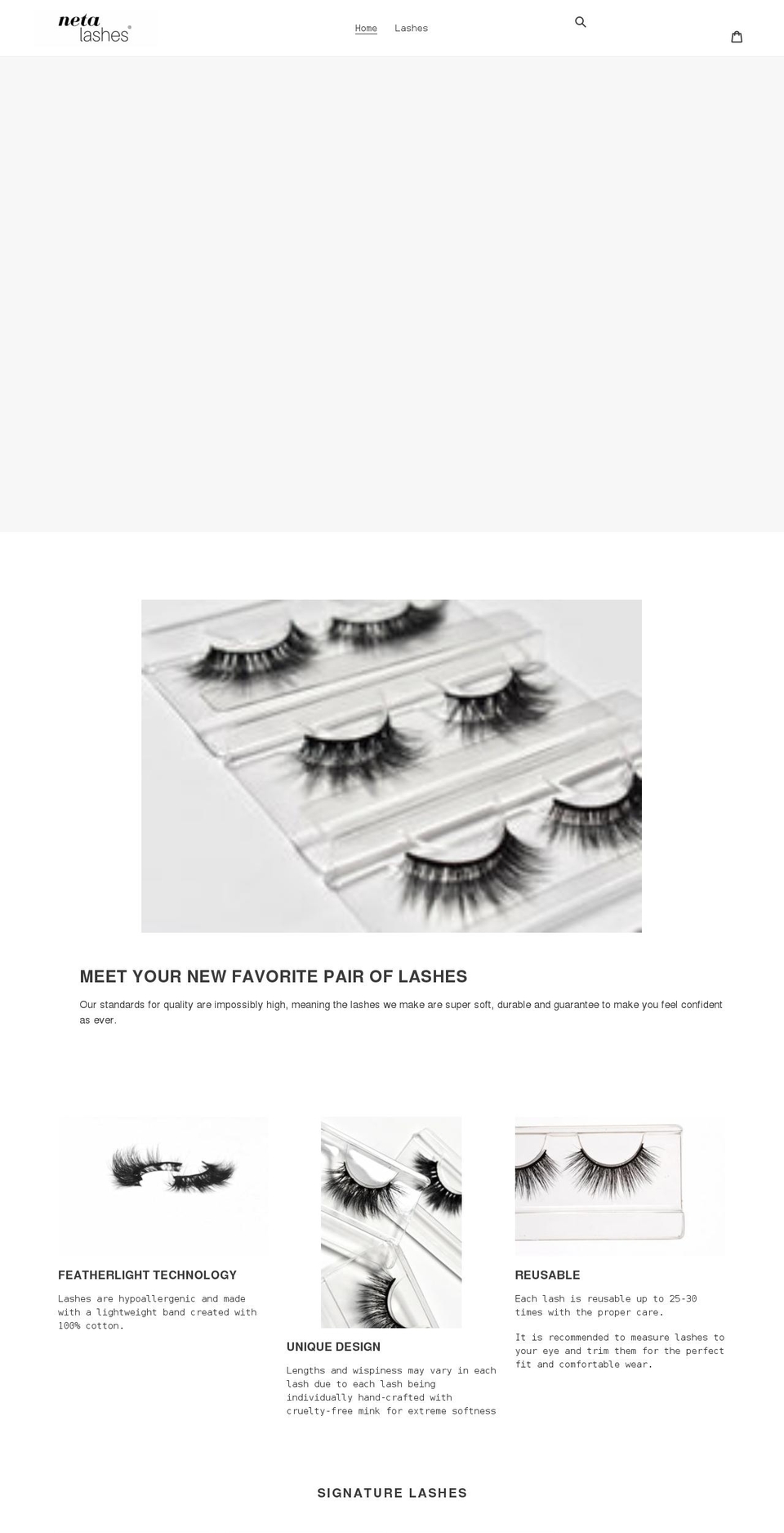 netalashes.com shopify website screenshot