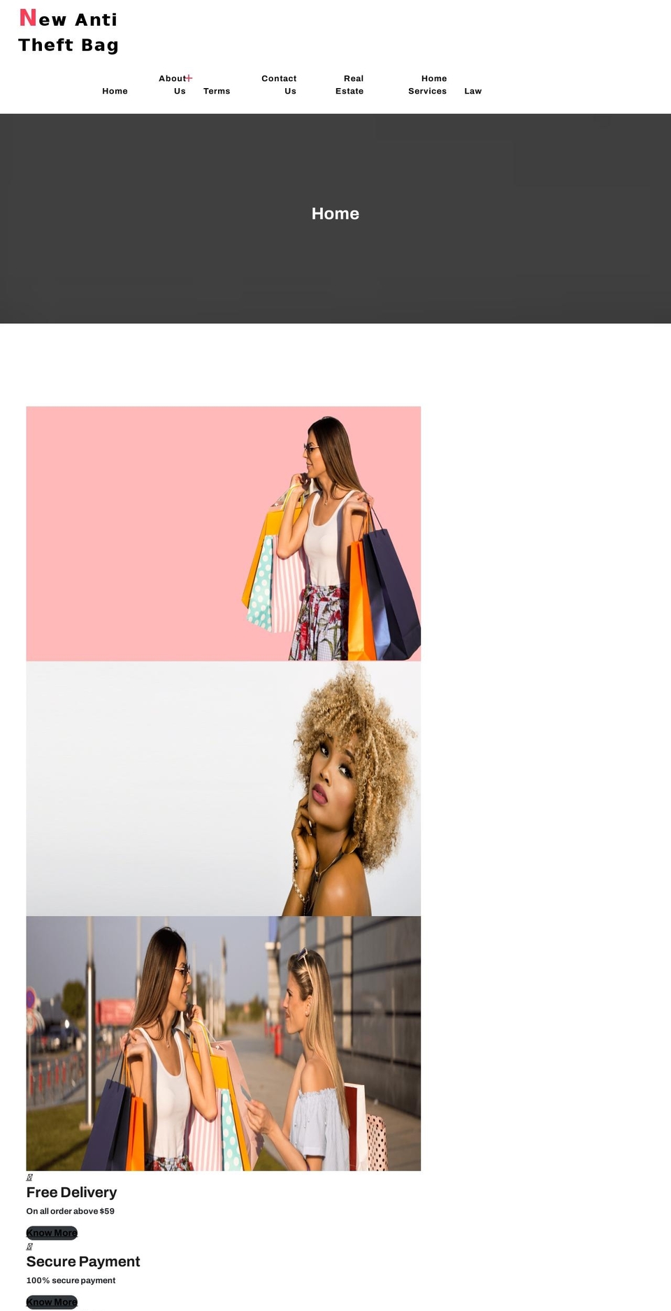 newantitheftbackpack.com — Shopify storefront screenshot