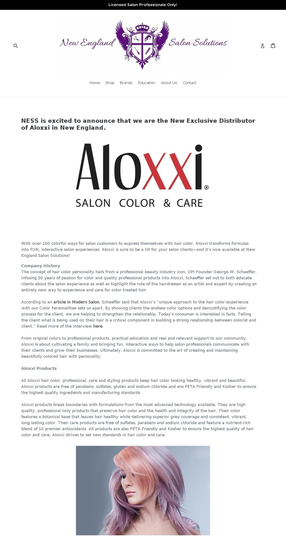 newenglandsalonsolutions.com shopify website screenshot