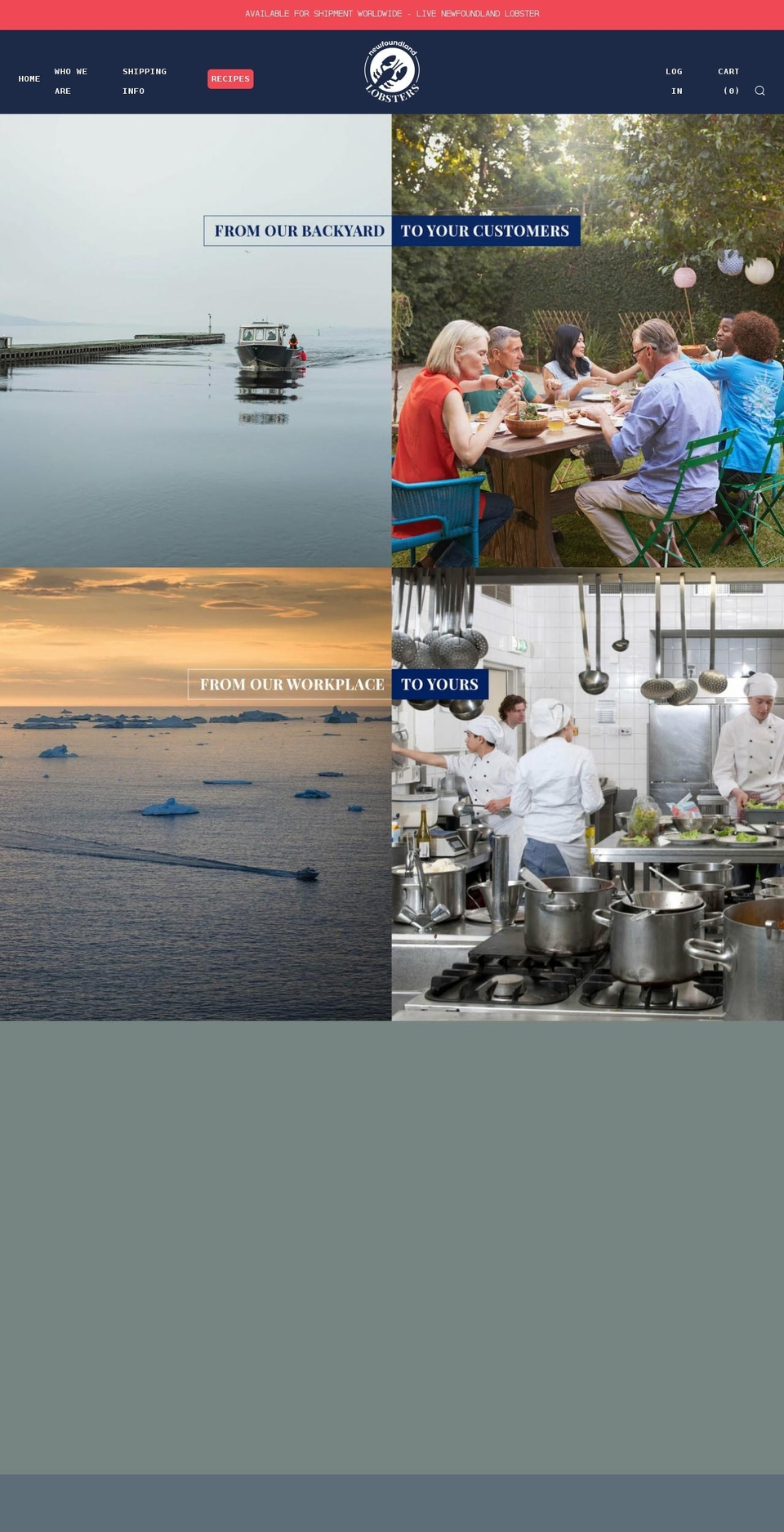 newfoundlandlobsters.com shopify website screenshot