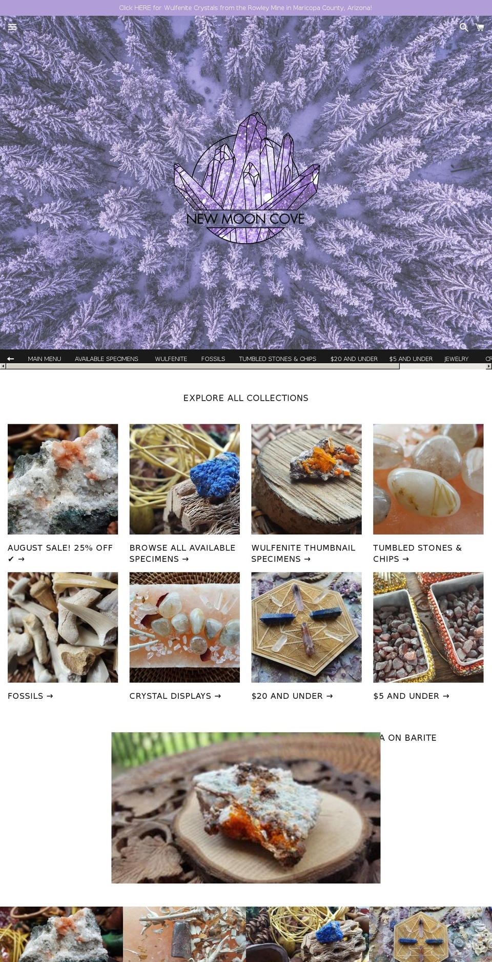 newmooncove.com — Shopify storefront screenshot