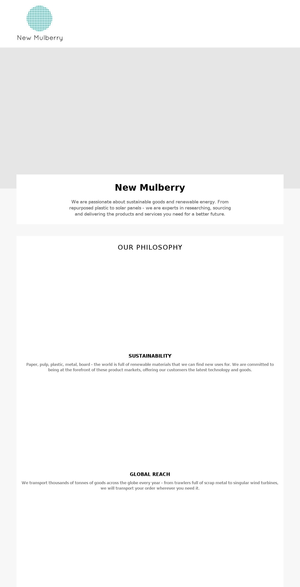 newmulberry.com — Shopify storefront screenshot