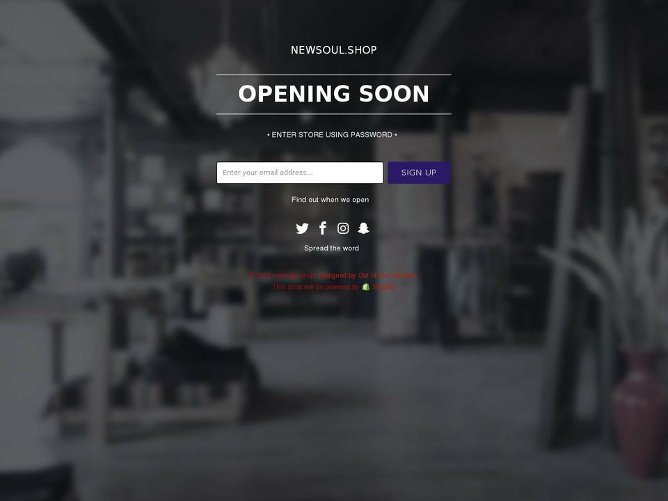 newsoul.xyz shopify website screenshot