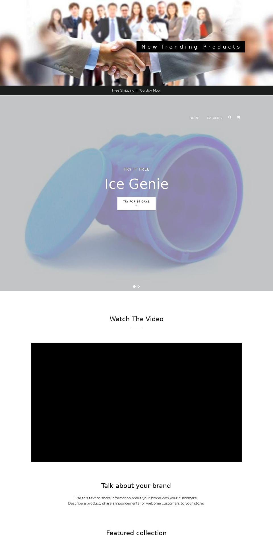 newtrendingproducts.com — Shopify storefront screenshot