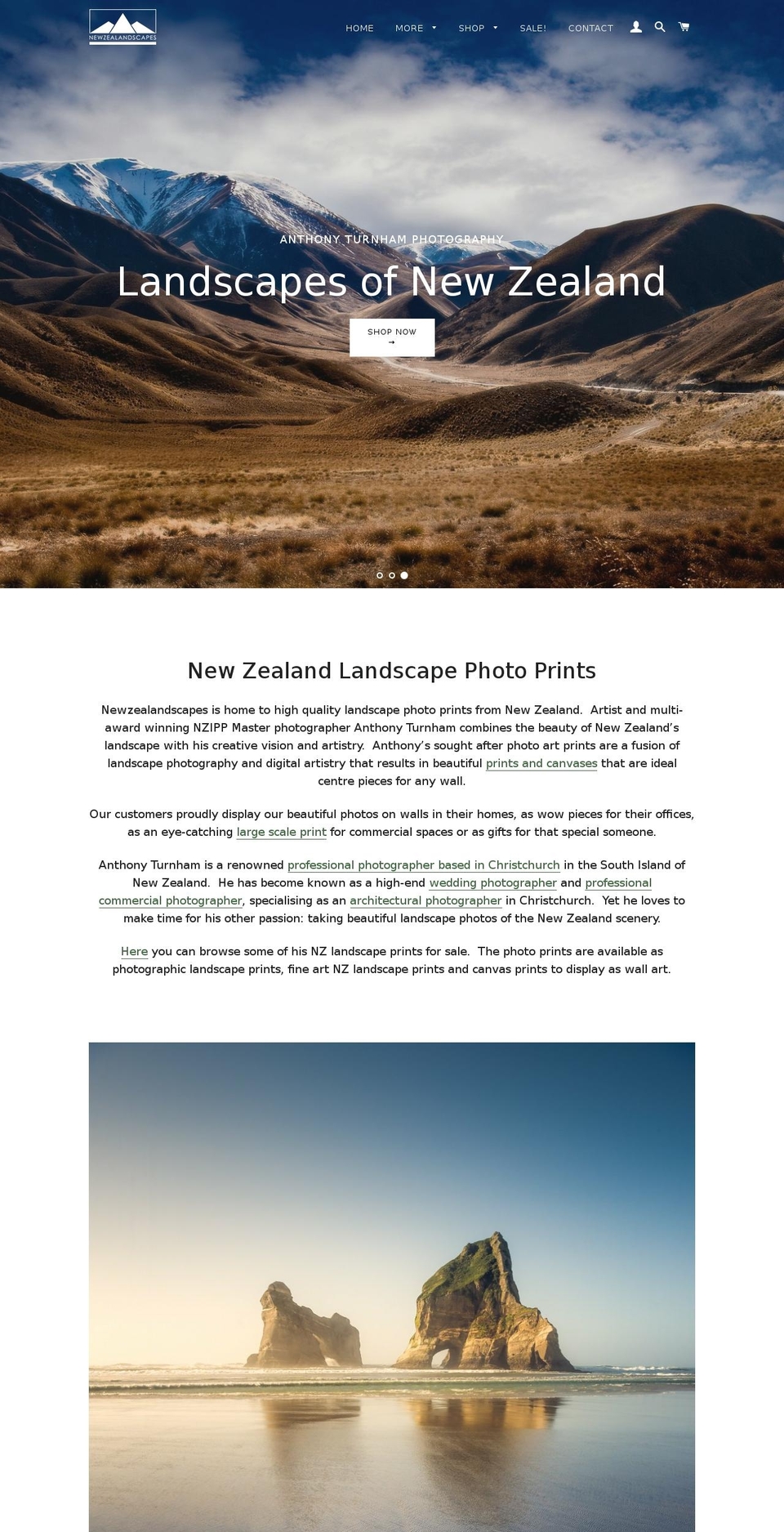 newzealandscapes.co.nz shopify website screenshot