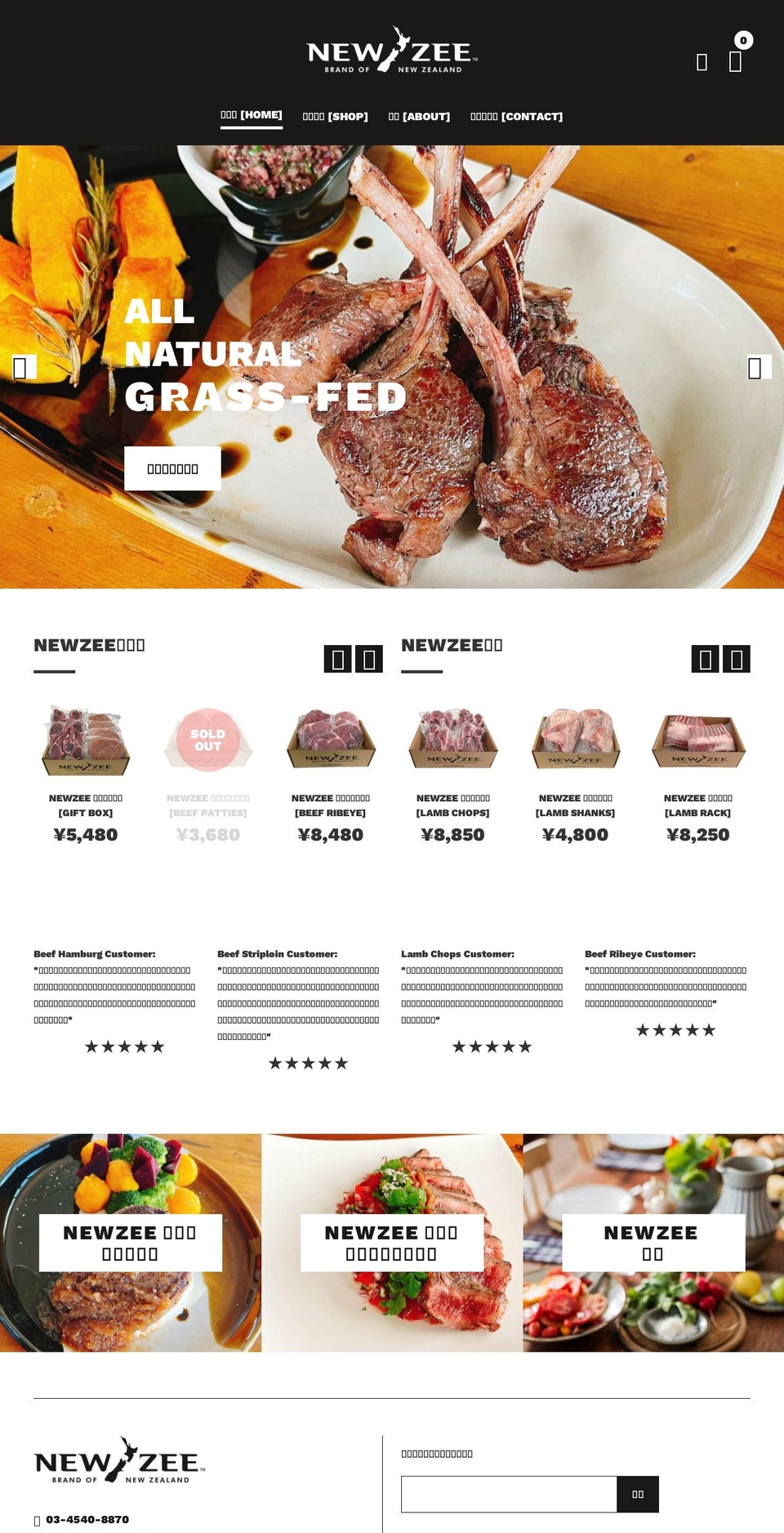 newzee.jp shopify website screenshot