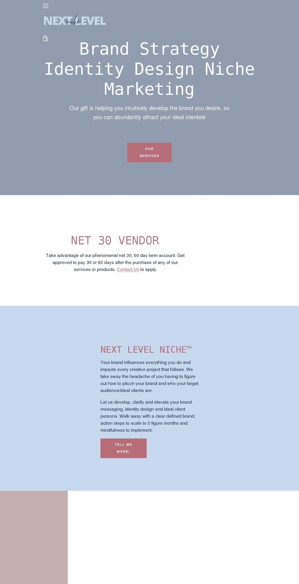 nextlevelniche.co shopify website screenshot