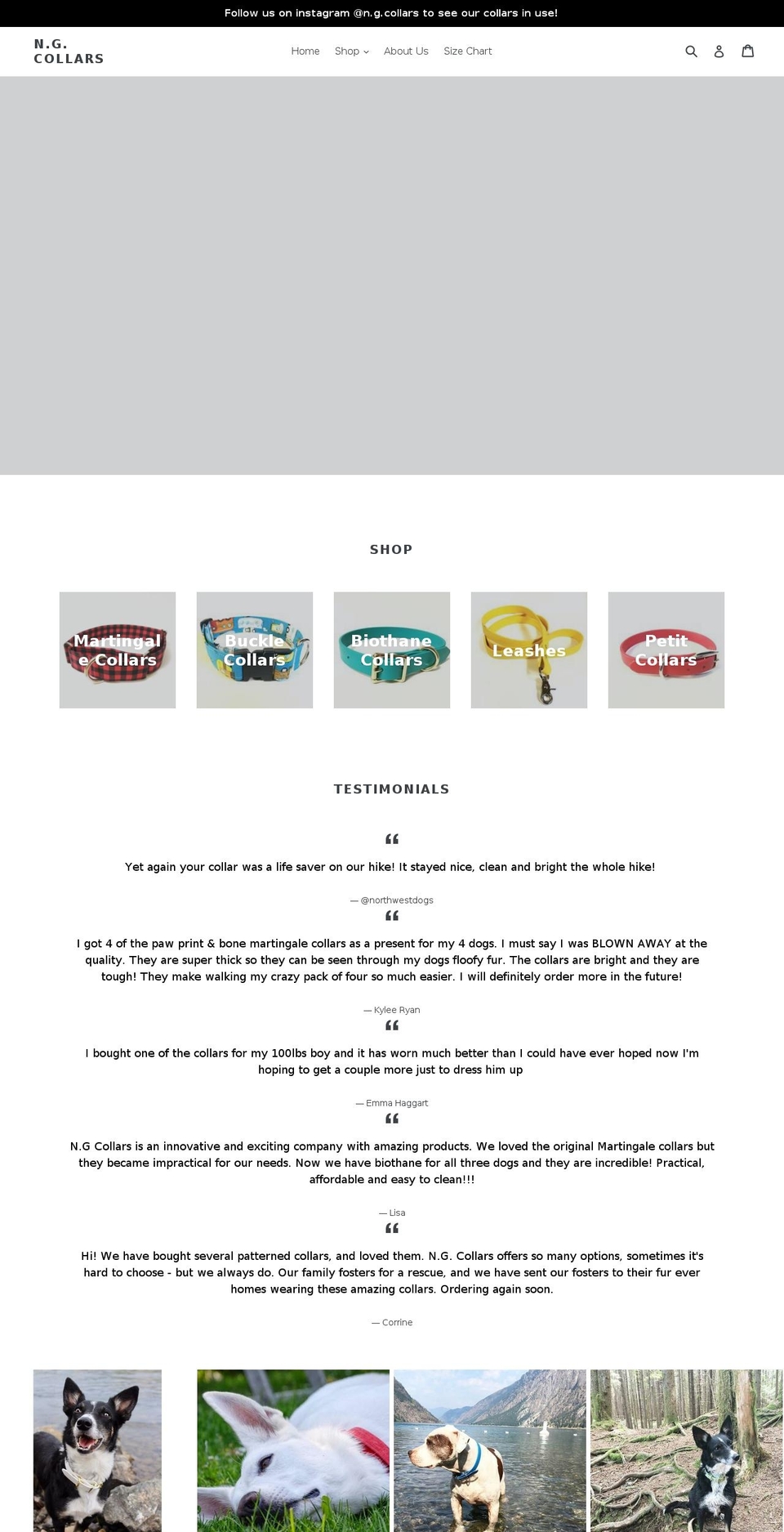 ngcollars.com — Shopify storefront screenshot