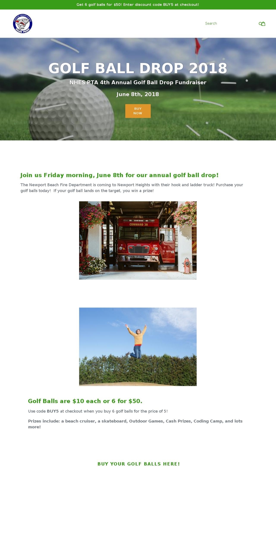 nheballdrop.com — Shopify storefront screenshot
