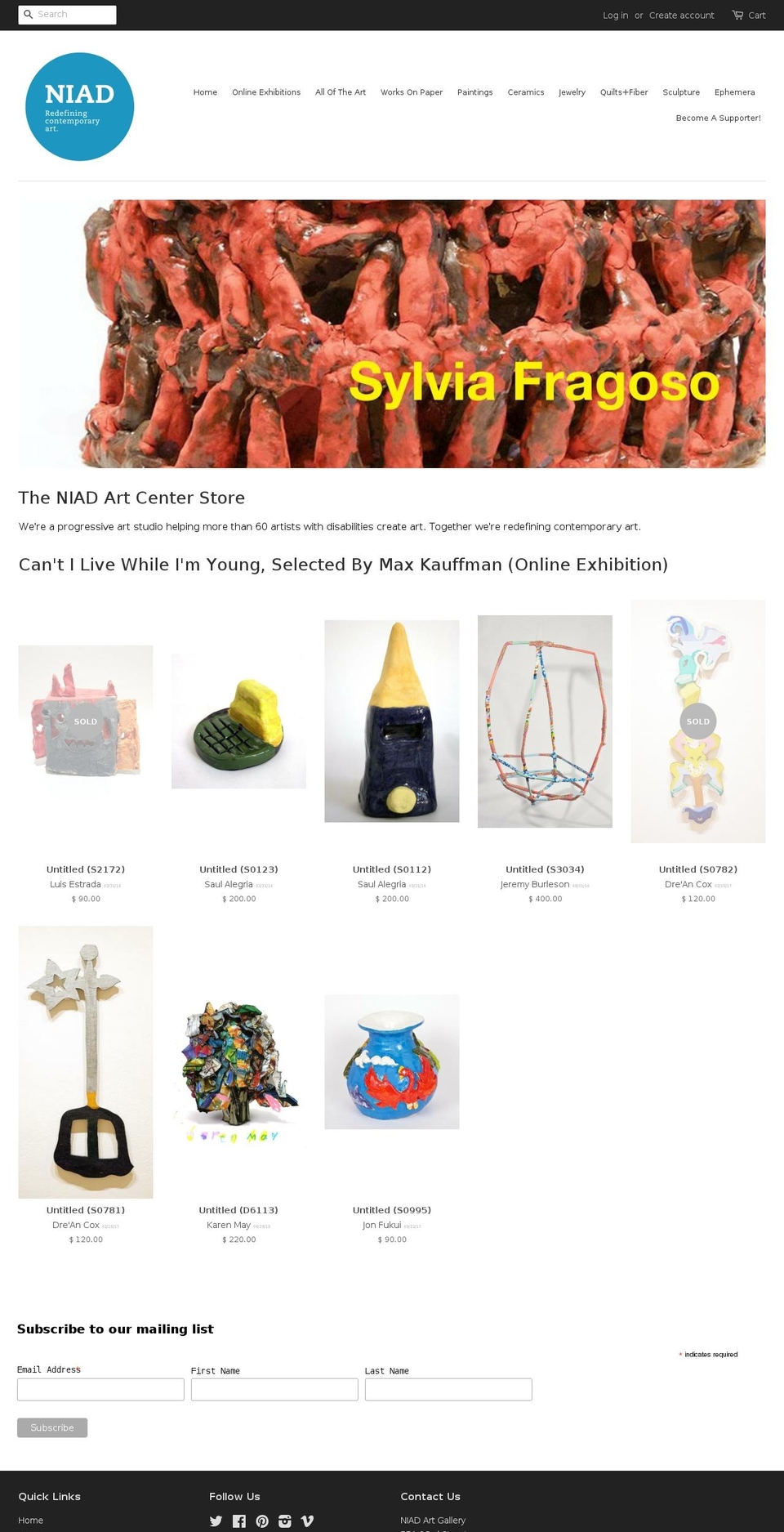 niadartstore.org shopify website screenshot