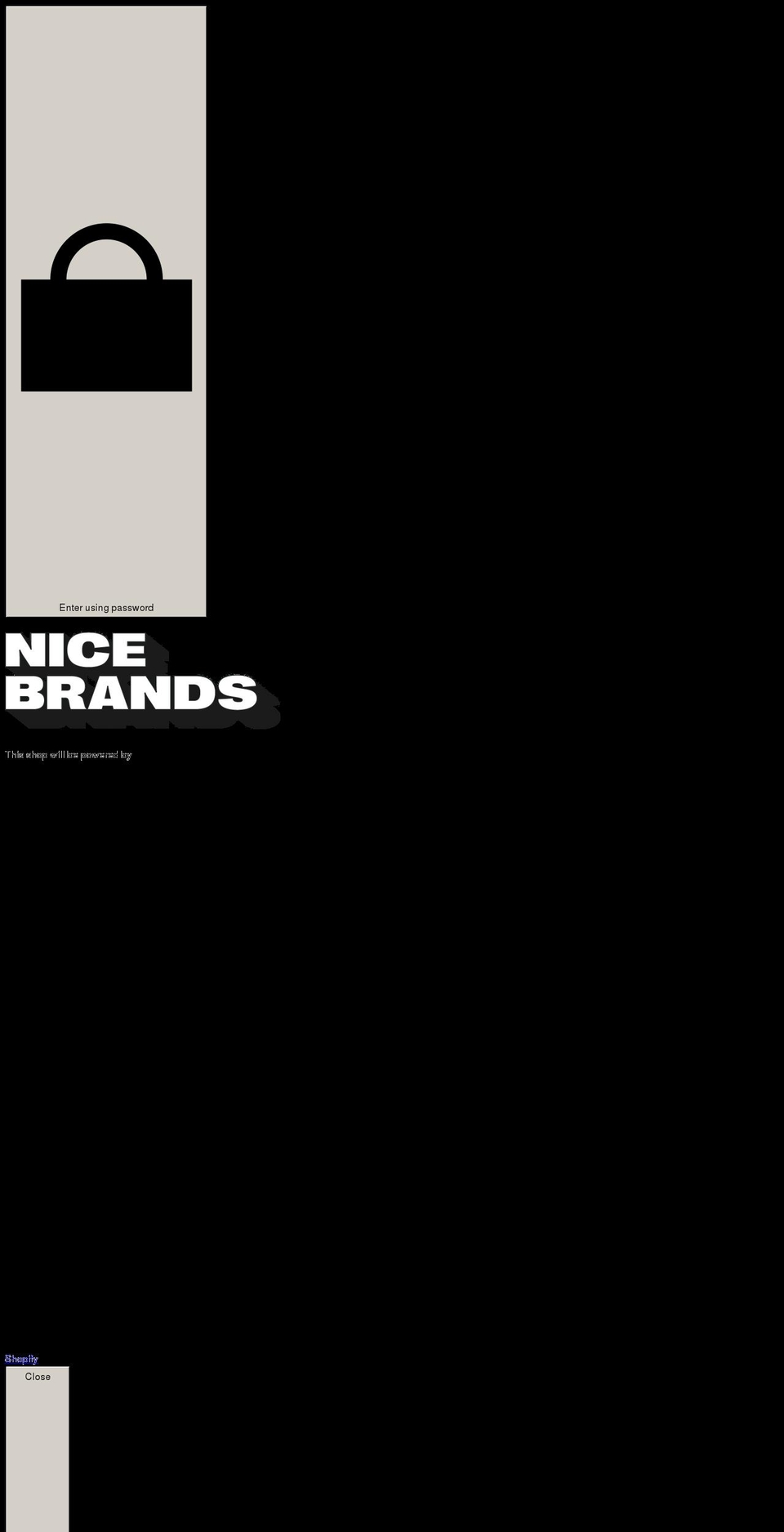 nicebrands.co shopify website screenshot