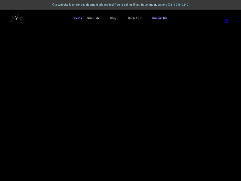 nichecreativespace.com shopify website screenshot