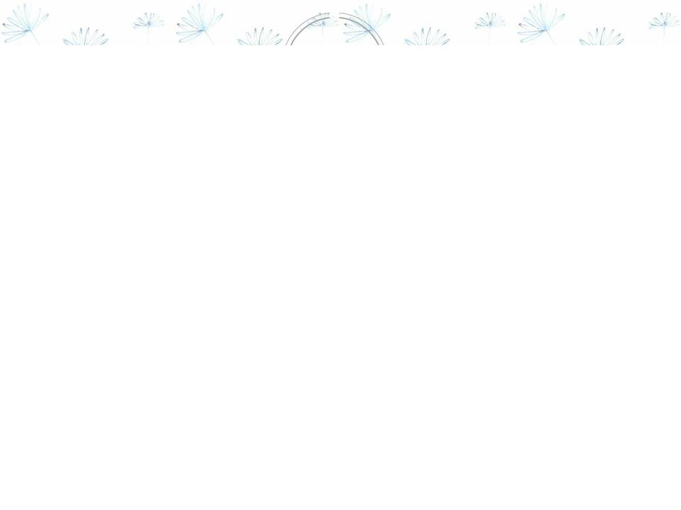 nicholasbaileyusa.com — Shopify storefront screenshot