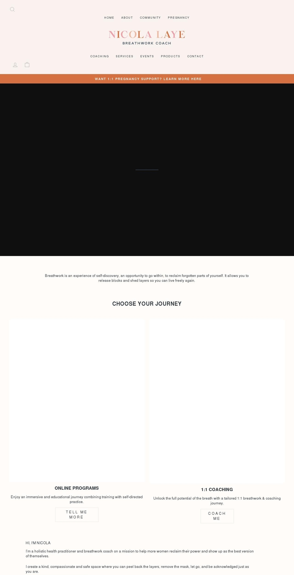 nicolalaye.com shopify website screenshot