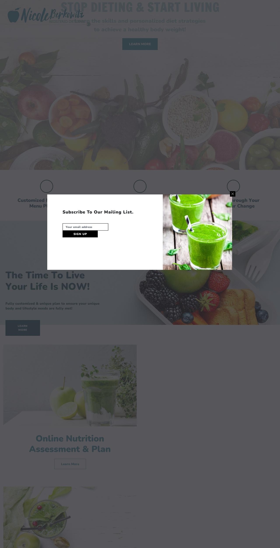 nicoleberkowitz.com shopify website screenshot