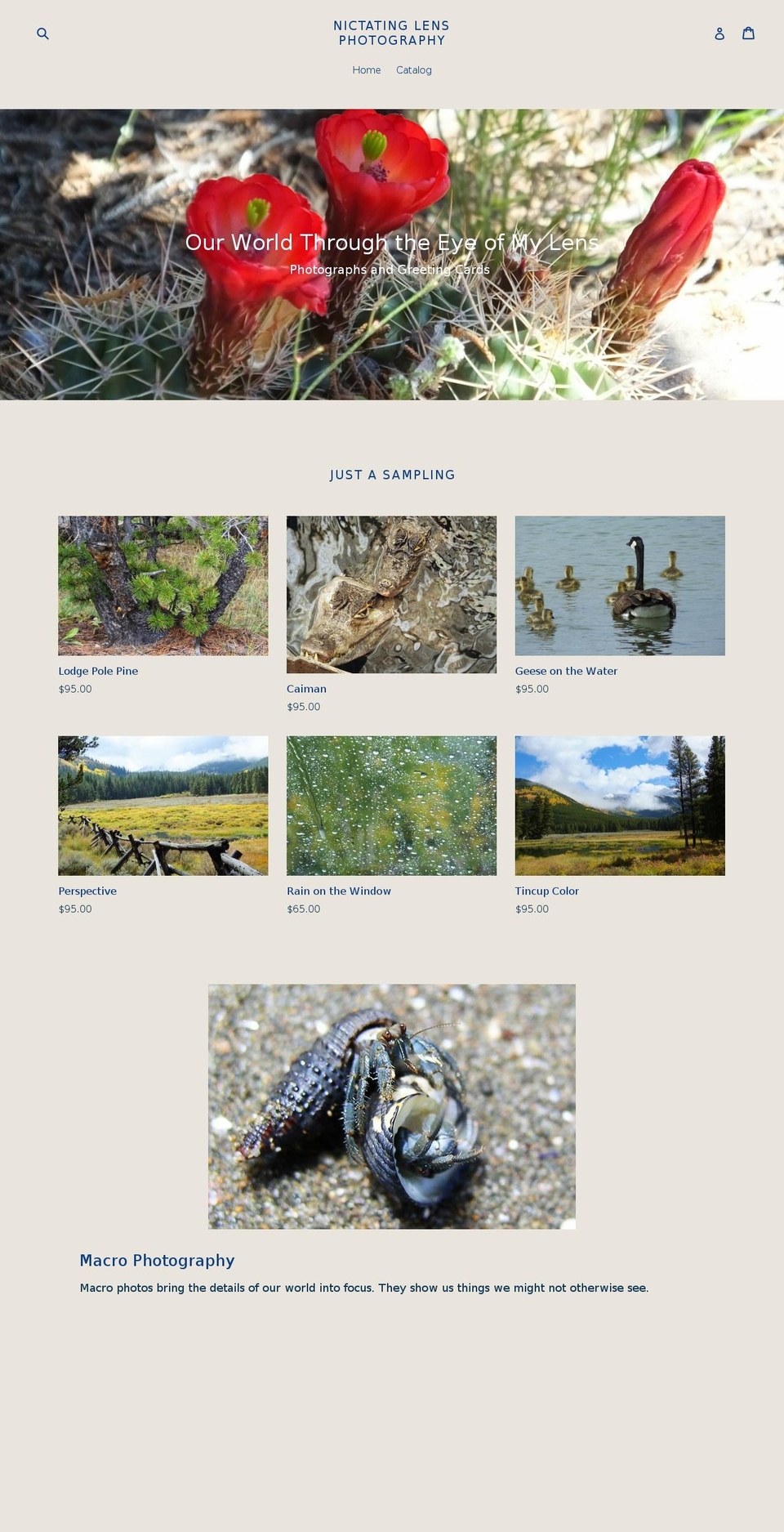 nictatinglensphotography.com — Shopify storefront screenshot