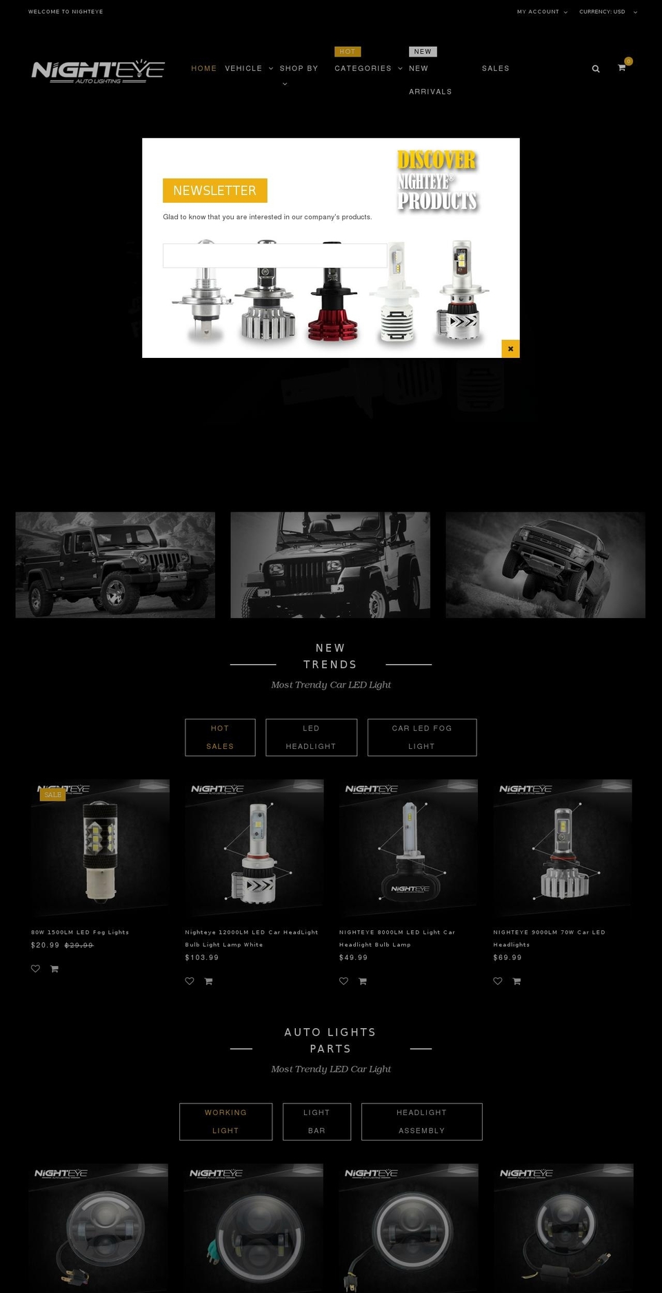 Bazien Shopify theme site example nighteyeled.com