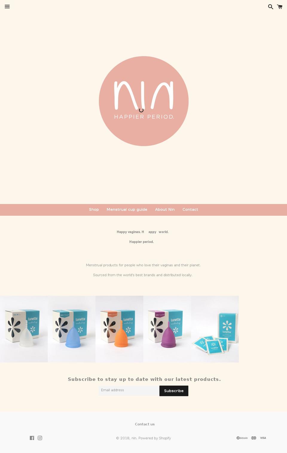 ninsouthafrica.com — Shopify storefront screenshot