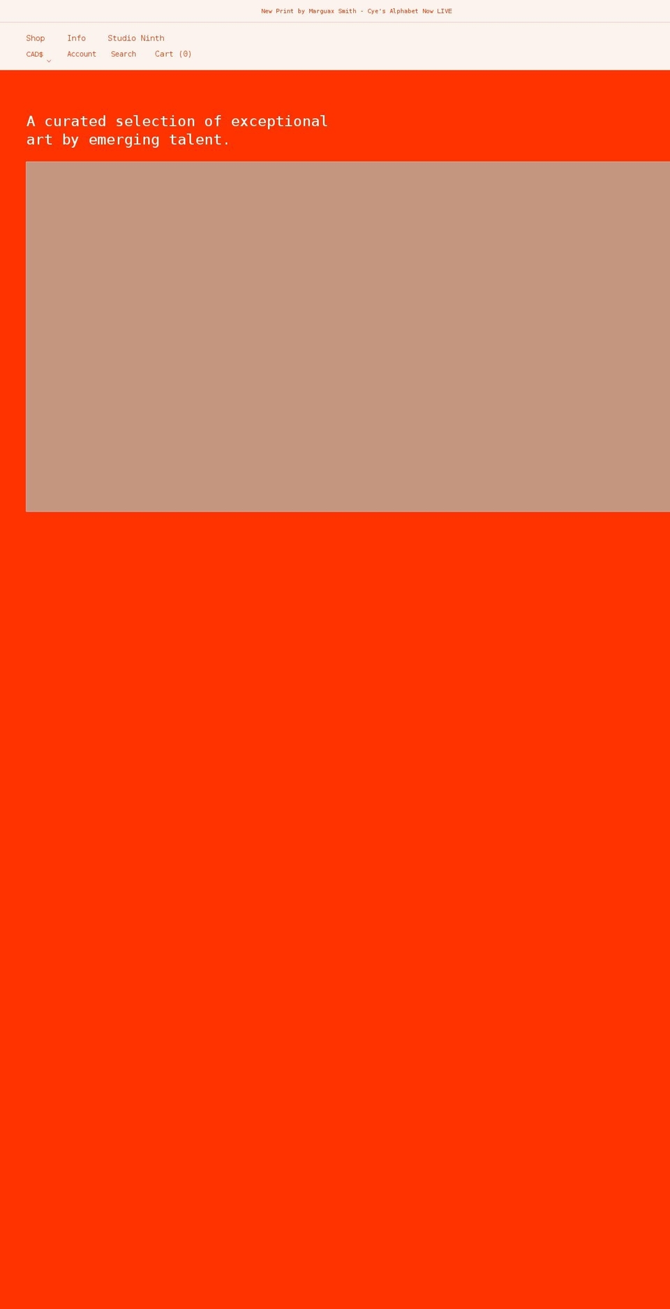 nintheditions.com shopify website screenshot