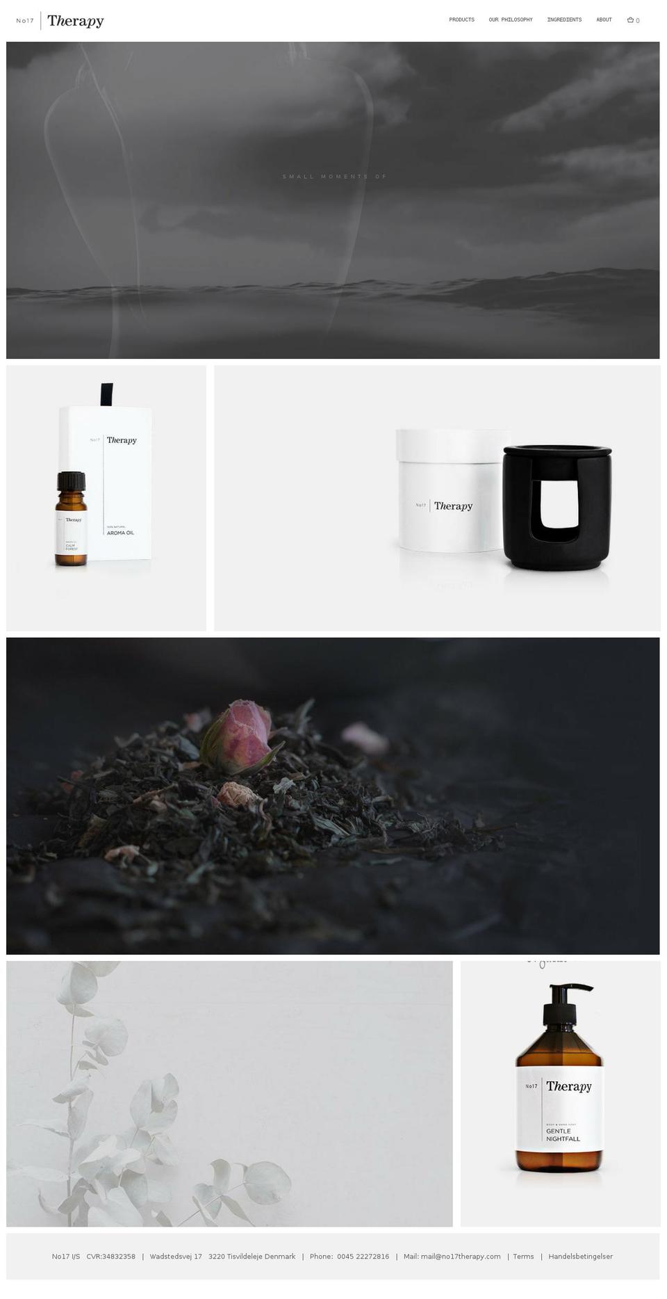 no17therapy.com shopify website screenshot