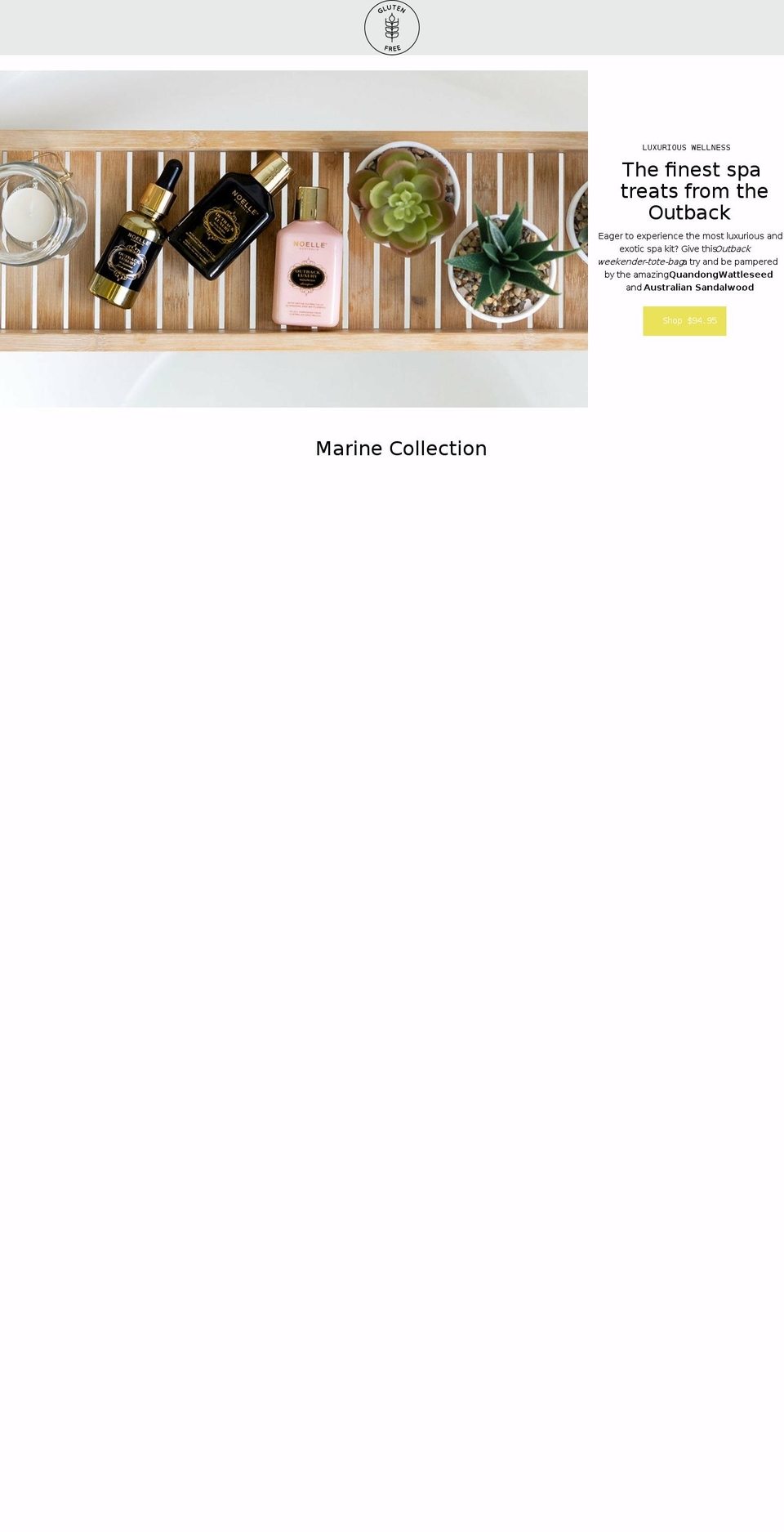 noelleaustralia.com.au shopify website screenshot