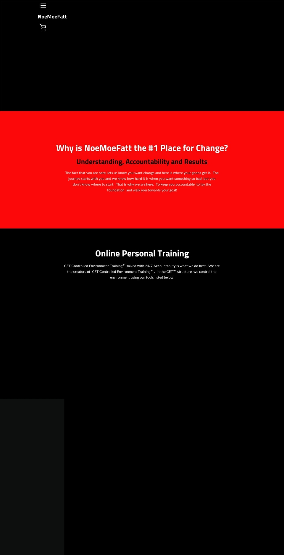 noemoefatt.com — Shopify storefront screenshot