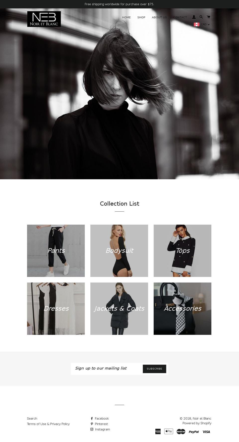 noiretblanc.ca shopify website screenshot