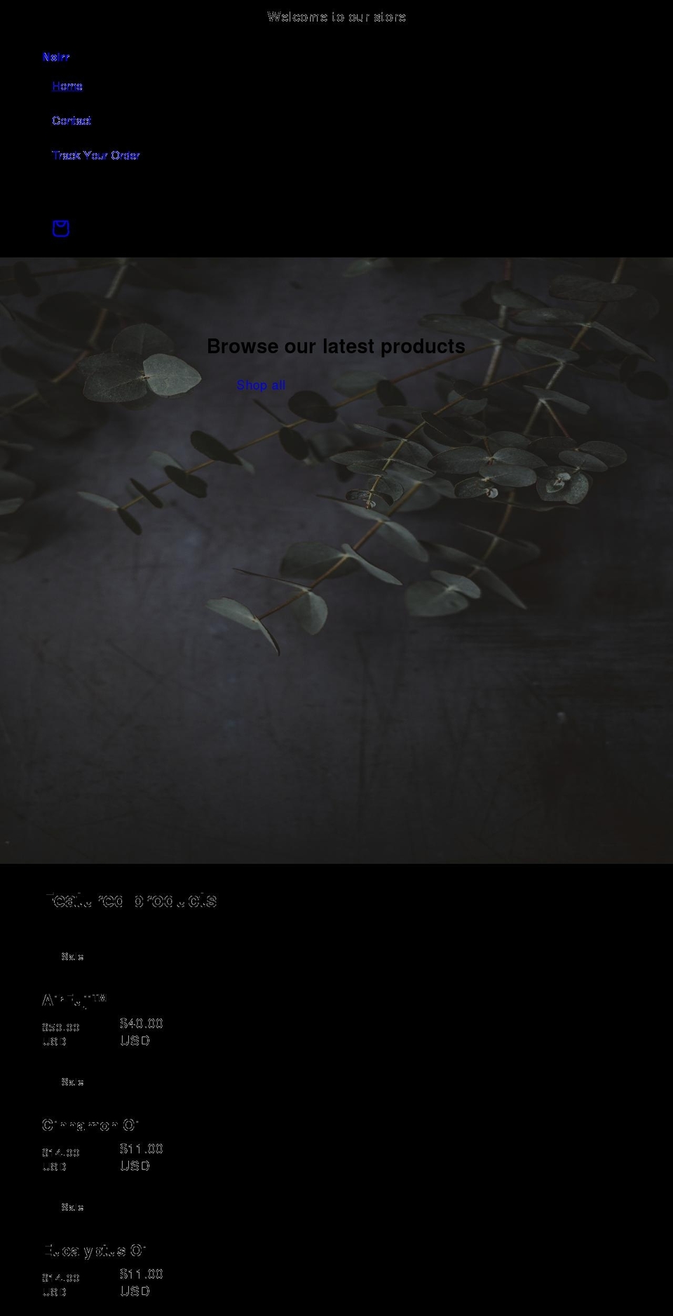 noirr.us shopify website screenshot