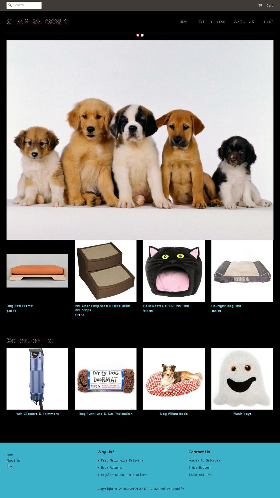 nolient.com — Shopify storefront screenshot