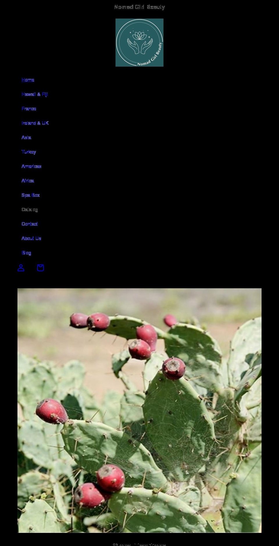 nomadgirlshop.com shopify website screenshot